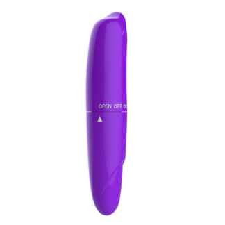 Buzzpinky Dolphin Delight Single Speed Vibrator