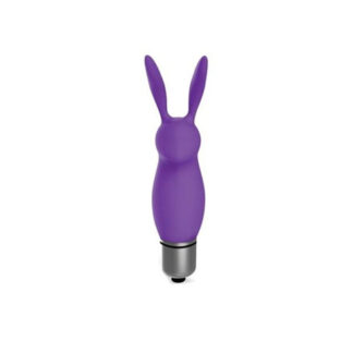 Rabbit Bullet Vibrator Purple