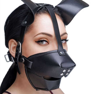Master Series Pup Puppy Play Hood + Breathable Ball Gag