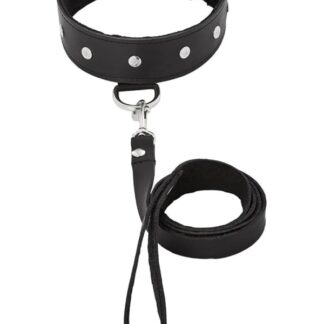 Leather Leash and Collar Set