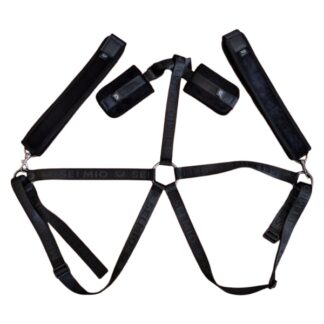 Trussed Issues - Adjustable Body Harness Restraint System